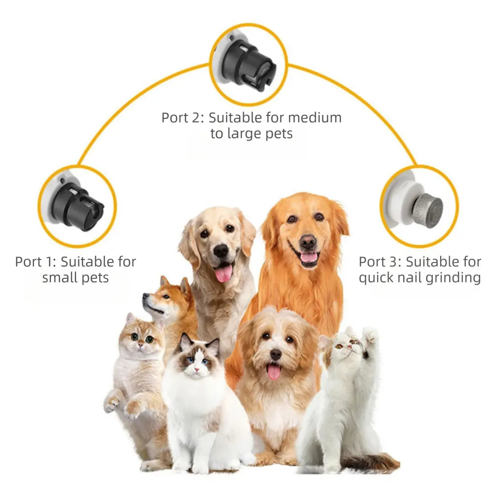 Upgraded 5 Speed Dog Nail Grinder with LED Lights Quiet Electric Pet Nail Trimmer Dog Paws Grooming Smoothing Tool