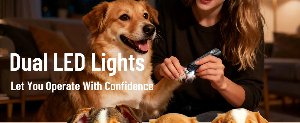 5 Speed Quiet Rechargeable Pet Nail Grinder LED Light Adjustable Safety Guard for Small Medium Large Dogs Cats Dog Nail Trimmer
