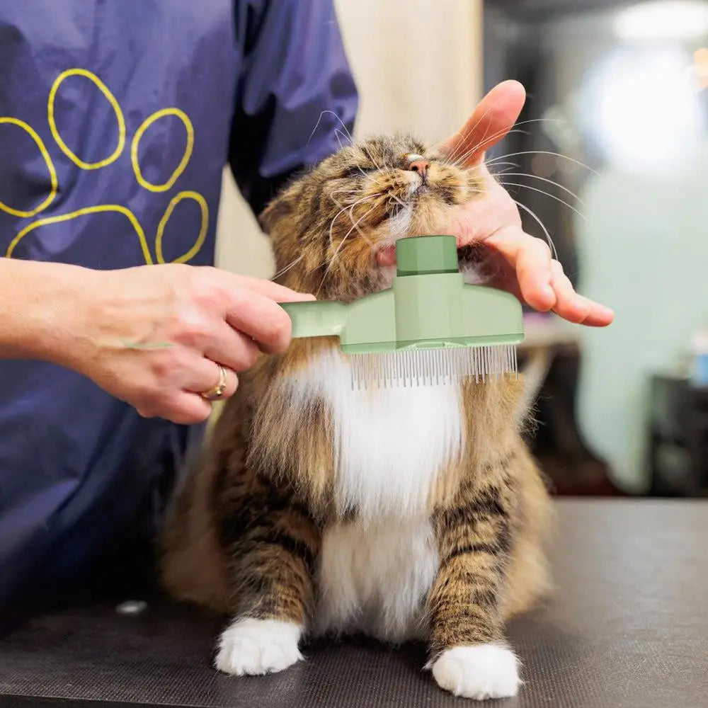 Cat Comb Self-Cleaning Long Hair Matting Tool Dog and Cat Slicker Comb for Pets Shedding Grooming Brush To Remove Knots